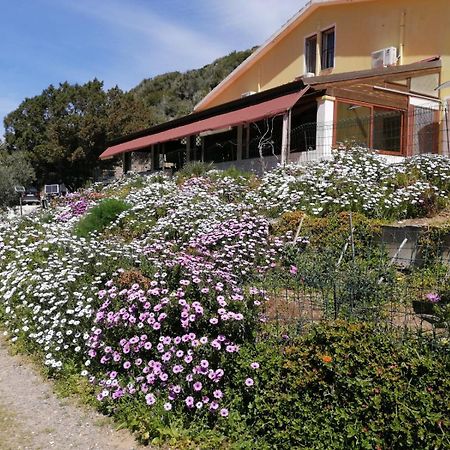 Il Lentischio Otel Cala Sapone Dış mekan fotoğraf