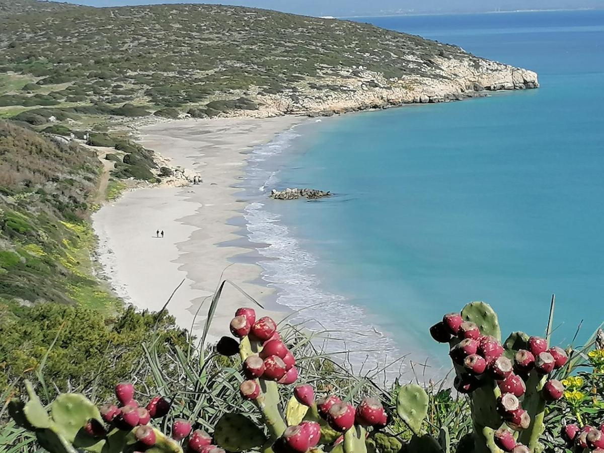 Il Lentischio Otel Cala Sapone Dış mekan fotoğraf