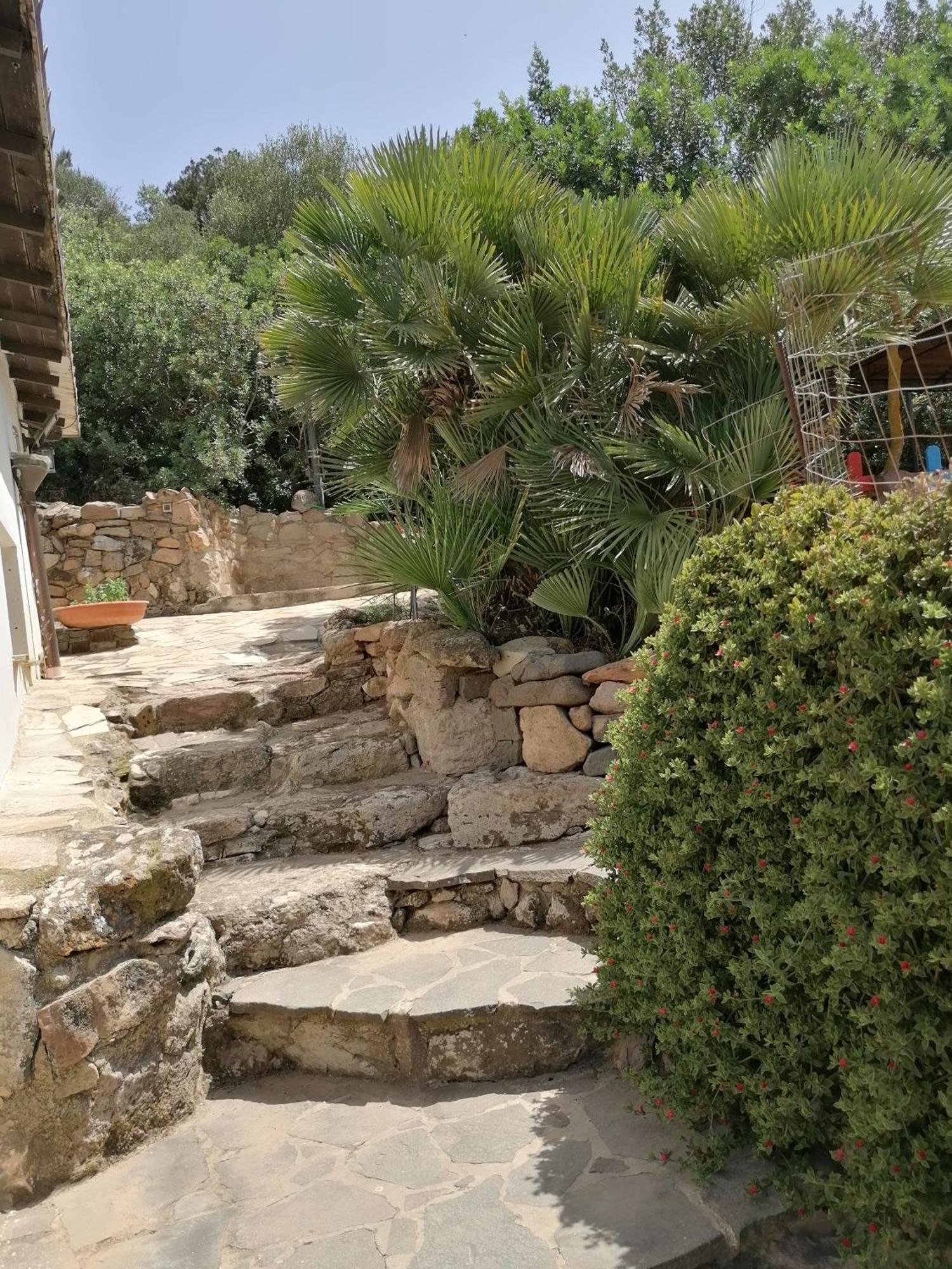 Il Lentischio Otel Cala Sapone Dış mekan fotoğraf